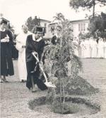 Arbor Day, 1957